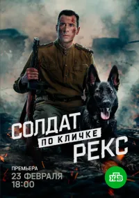 сериал Солдат по кличке Рекс (1 сезон) смотреть онлайн Лордфильм